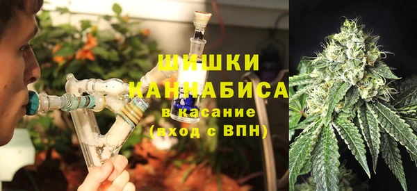 спиды Алзамай