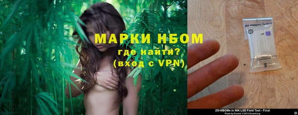 прущие грибы Алексин
