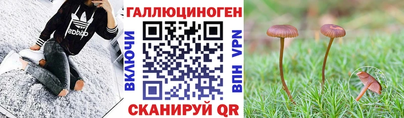 купить  цена  Арзамас  Псилоцибиновые грибы GOLDEN TEACHER 